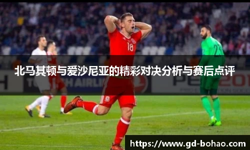 北马其顿与爱沙尼亚的精彩对决分析与赛后点评