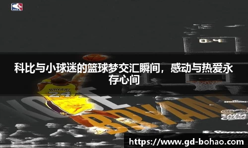 科比与小球迷的篮球梦交汇瞬间，感动与热爱永存心间